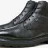 Lloyd Boots Et Bottes Bottes VINE Homme Noir