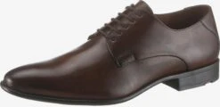 Lloyd Chaussures Classiques Professionnelles Chaussure à Lacets Nik Homme Brun Foncé