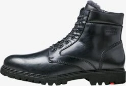 Lloyd Boots Et Bottes Bottes Homme Noir
