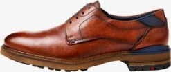 Lloyd Chaussures Classiques Professionnelles Chaussure à Lacets Homme Marron
