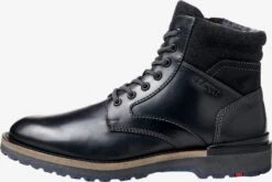 Lloyd Boots Et Bottes Bottes Homme Noir