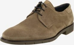 Lloyd Chaussures Classiques Professionnelles Chaussure Ă Lacets Tambo Homme Marron
