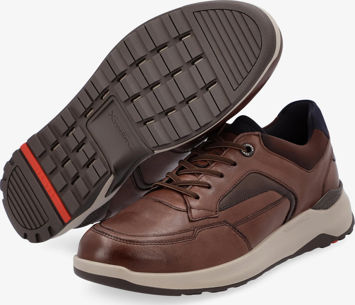 Lloyd Baskets Détentes Baskets Basses Memphis Homme Chocolat 2 Lloyd Baskets Détentes Baskets Basses Memphis Homme Chocolat – Image 2