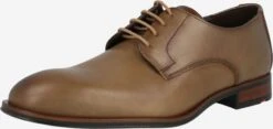 Lloyd Chaussures Classiques Professionnelles Chaussure Ă Lacets Sabre Homme Noisette