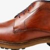 Lloyd Chaussures Classiques Professionnelles Chaussure à Lacets Homme Marron