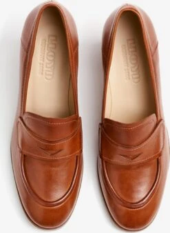 Lloyd Escarpins Classiques Escarpins Femme Marron -Lloyd a361e6a6d710f9f6a888fa5fdb88518f