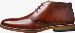 Lloyd Boots Et Bottes Boots Homme Marron