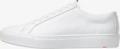 Lloyd Tendance Chaussure à Lacets Homme Blanc